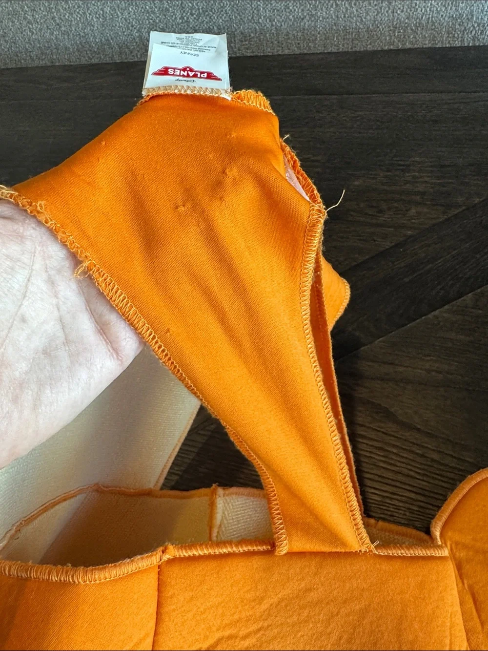 Disney Planes Dusty Crophopper Halloween Costume - Picture 7 of 9
